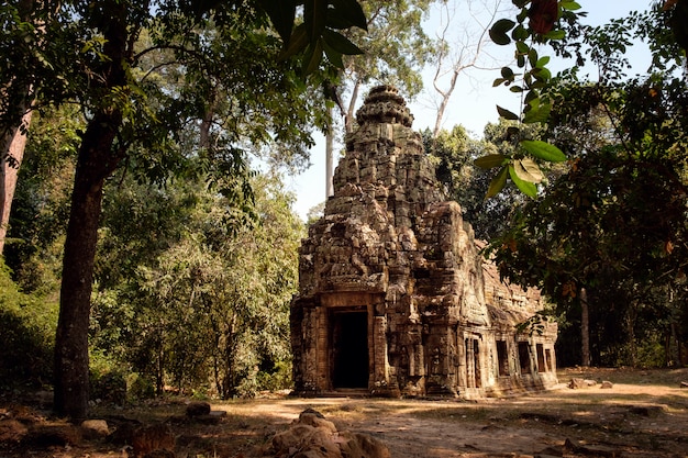 Temple in jungle, Angkor Wat complex in Cambodia