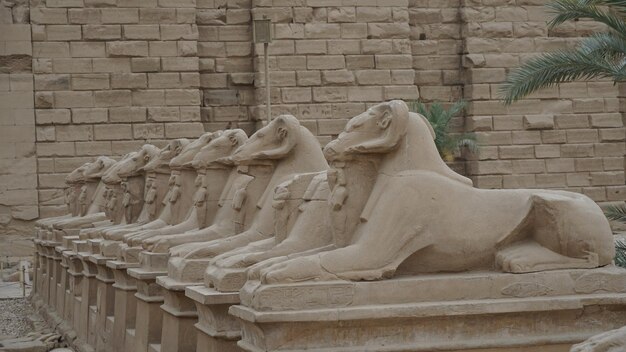 Photo temple of karnak ancient egypt