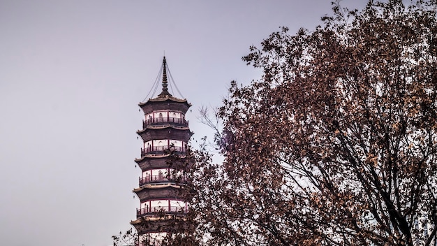 Temple of the Six Banyan Trees . Liurong Temple  a Buddhist landmark temple in Guangzhou . Chinese pagoda with copy space