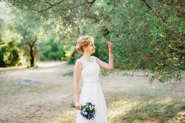 A tender bride with a bouquet of blue flowers stands by an olive tree and touches the branches with