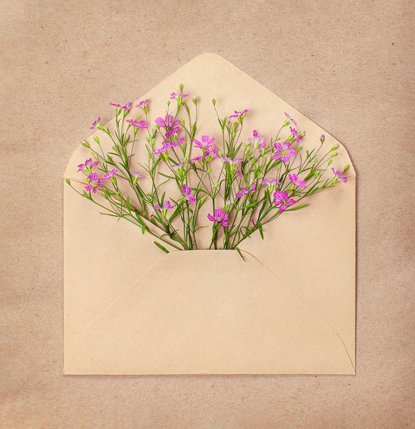 tender sprigs of gypsophila repens in a craft envelope