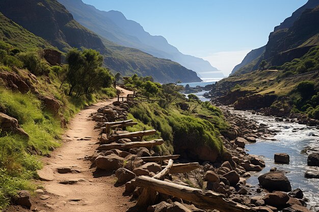 Tenerife Canary Islands Rural Teno Park and Cliff Views