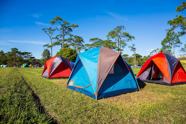 Tent on beach seashore in summer Camping on ocean shore