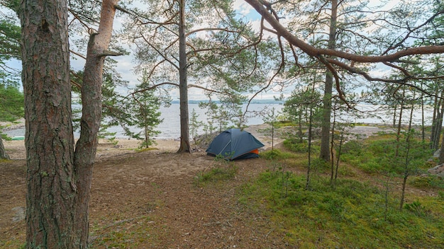 Tent in the forest on the shore of a lake