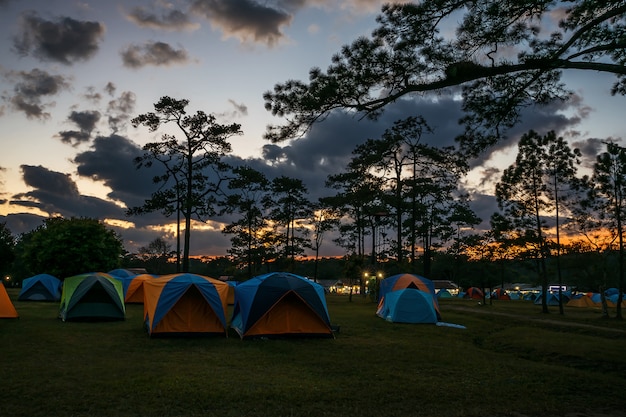 Tent in national park.