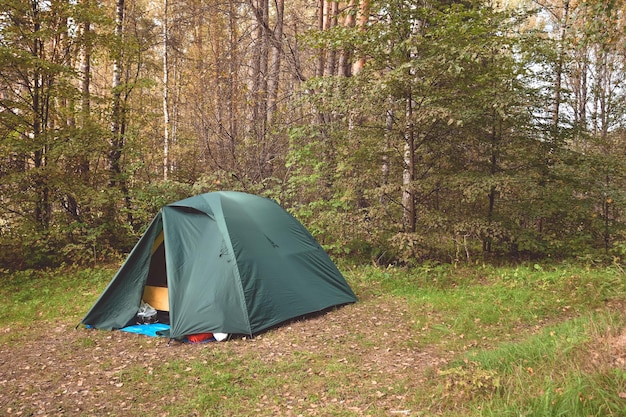 Tent in a pine forest camping in the forest hiking in the forest