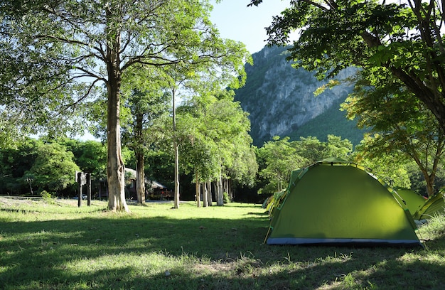 Tent with natural forest in camping 