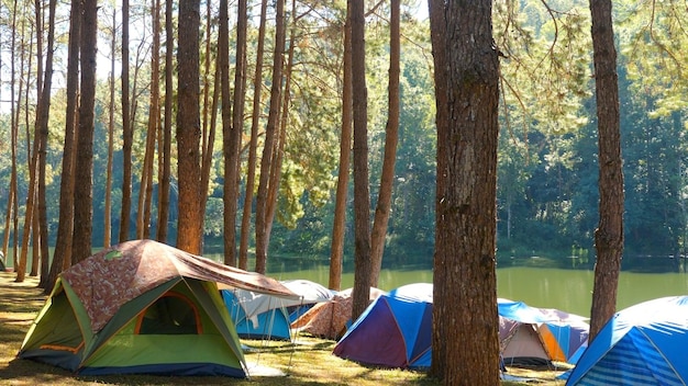 Tents camping area green lake at sunshine natural campground area with trees