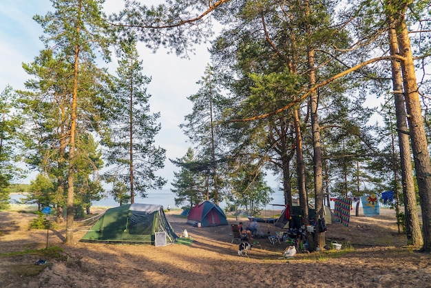 Tents on the sandy beach among the pines Lake Ladoga Karelia