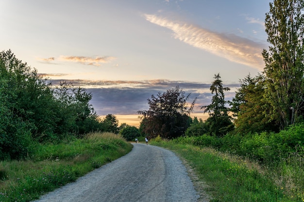 Terra Nova Natural Area trail hiking path in the forest of nature conservation park.