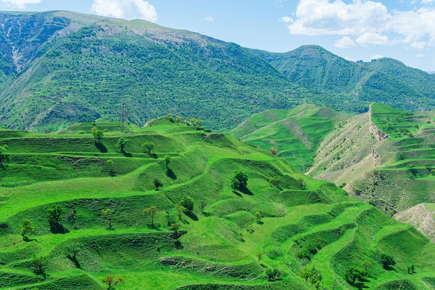 Terraced farmland on the mountain slopes in Dagestan