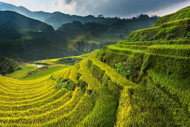 Terraced rice paddy field landscape of Mu Cang Chai, Yenbai, Northern Vietnam