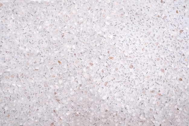 Terrazzo polished stone floor and wall