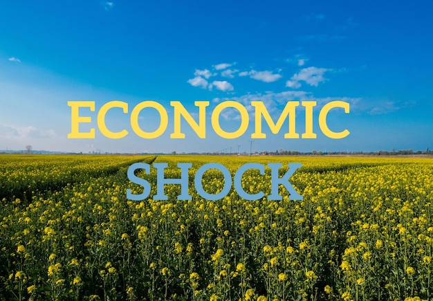 Text ECONOMIC SHOCK against defocused agriculture field message Global hunger food crisis inflation