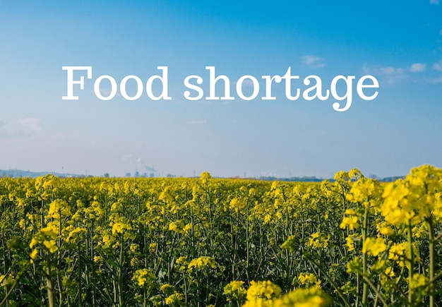 Text FOOD SHORTAGE against defocused agriculture field message Global hunger food crisis inflation