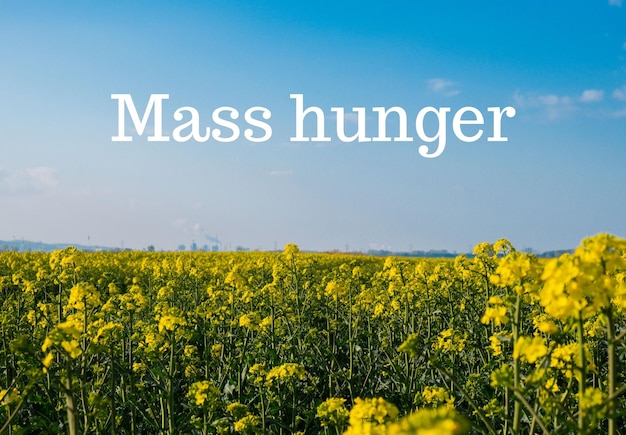 Text MASS HUNGER against defocused agriculture field message Global hunger food crisis inflation