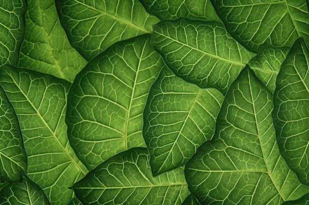 Textile repeat pattern of green leaf