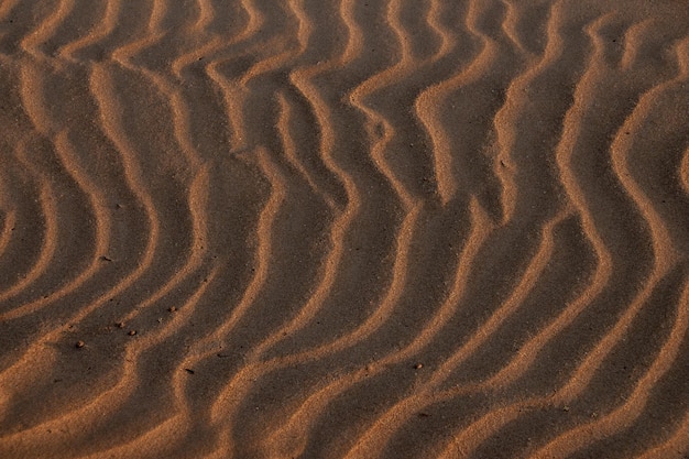 Textura de ondas en la arena de las dunas