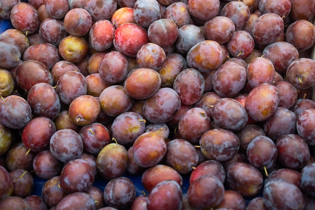 Texture background of fresh blue plums as fruit image