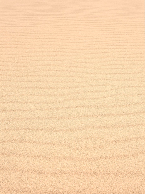 Texture background Nature sand texture background