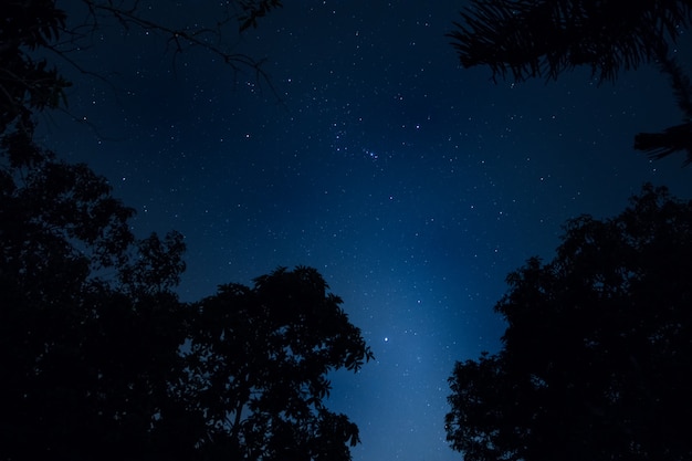 texture black dark nature astrology night