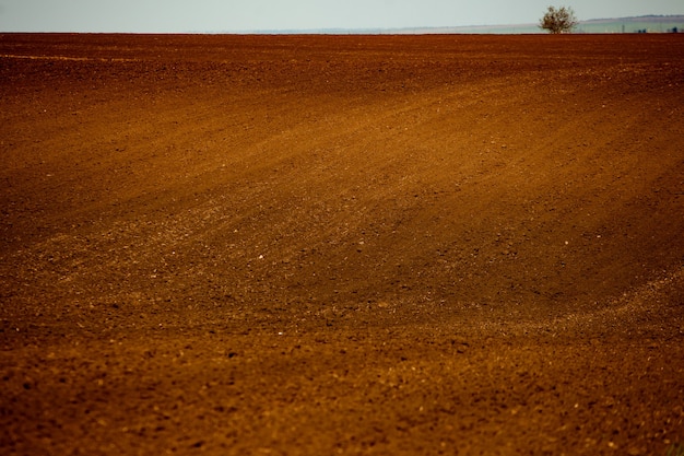 Texture of brown agricultural soil. Soil texture background.