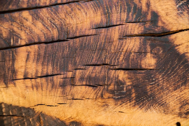 The texture of burnt wood Black spots on the tree Abstract background