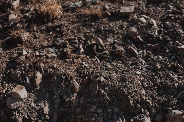 texture closeup black layer of earth