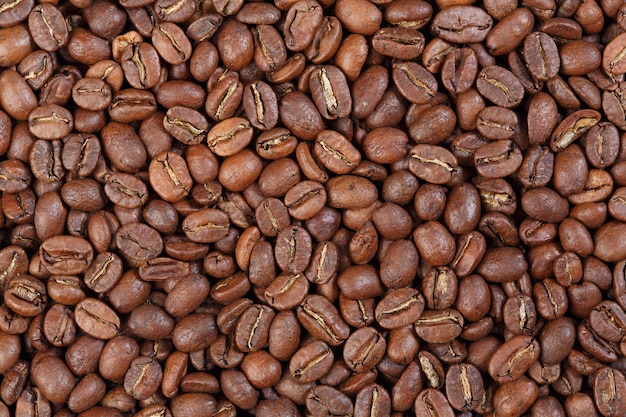 Texture of Colombia Excelso gourmet coffee . High resolution photo.