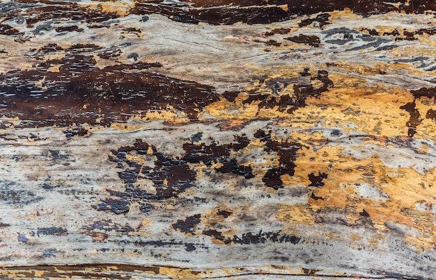 Texture and color of old plank