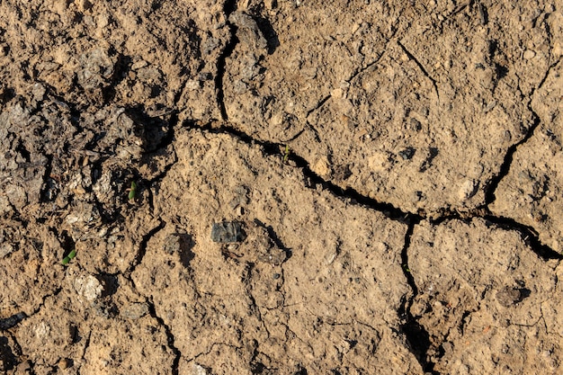 Texture of cracked dry ground for background