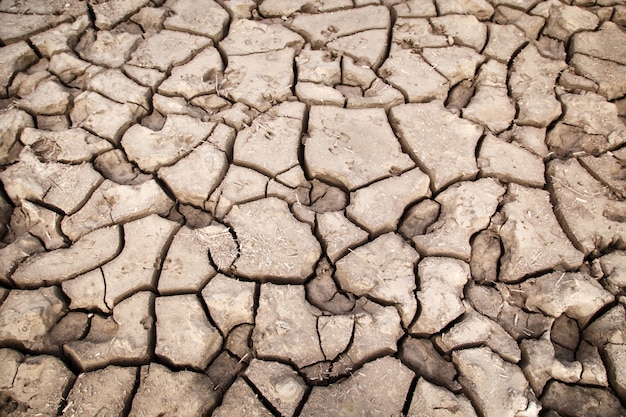 Texture of dry cracked earth