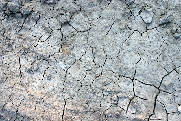 Texture of dry, cracked earth.