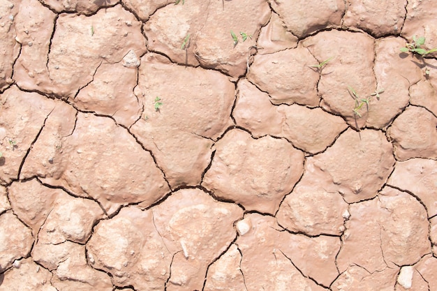 Texture of dry crackled soil dirt or earth during drought.