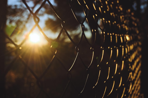 Texture of a geometric lattice, fence, wall against the background of a red sunset sky. Abstract art