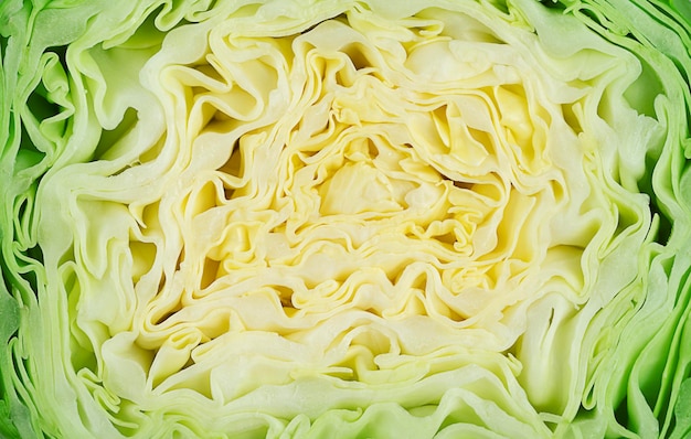 Texture of green cut cabbage food background