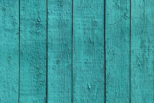 The texture is mint wooden texture and background painted mint color