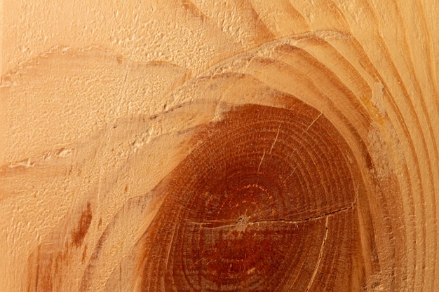 Texture knot cut of spruce board