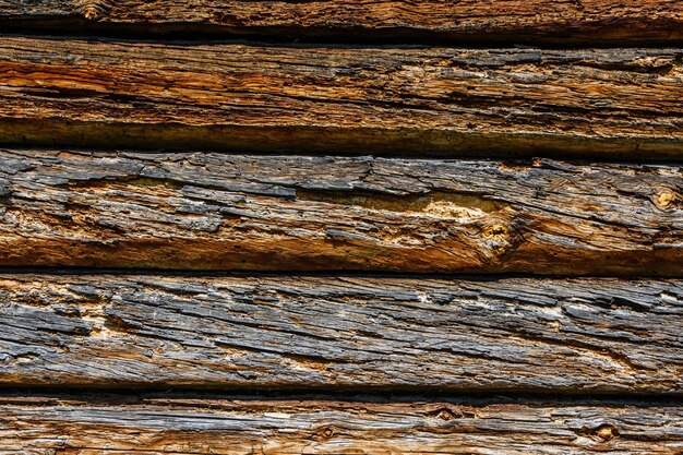 Texture of the logs damaged by wood pests Wooden pattern for background