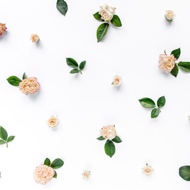 Texture made of roses and carnations branches floral pattern on a white background the apartment lay