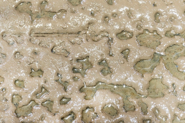 Texture mud field background