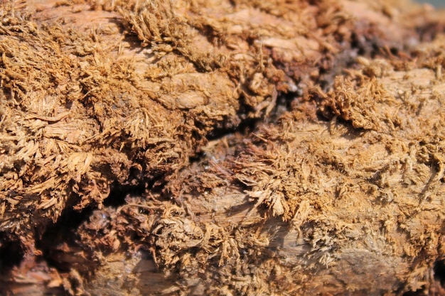 Texture of Old Ancient Rotten Rope