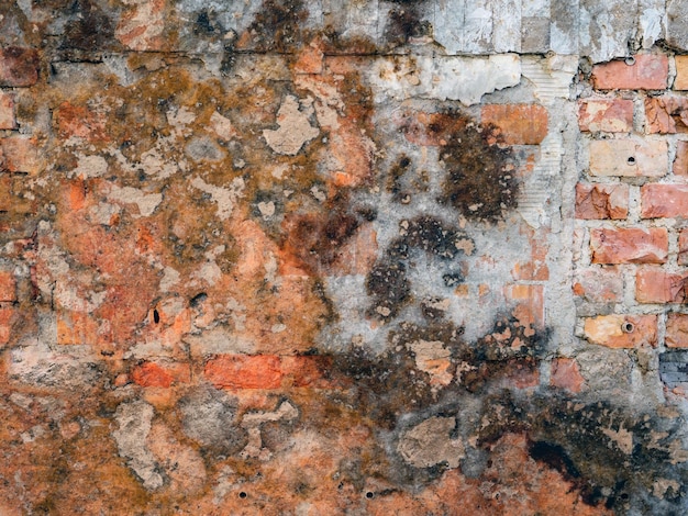 Texture of old concrete wall