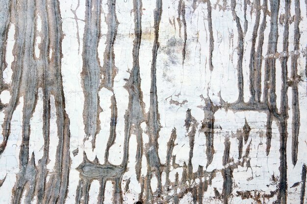 Texture of old concrete wall