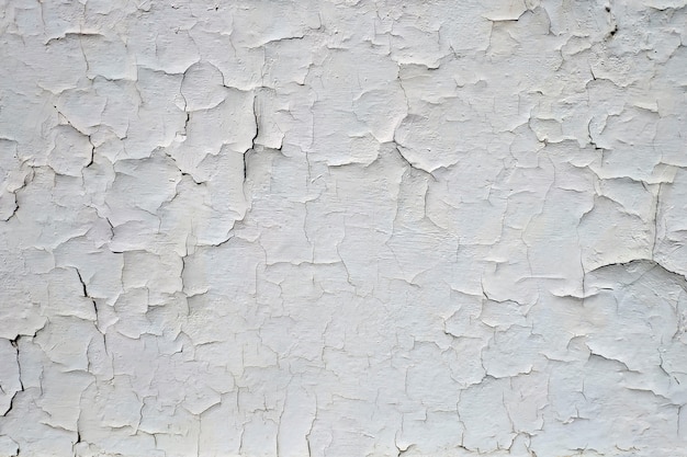 The texture of the old cracked white paint. The cracks texture. Background.