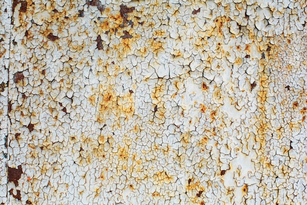 Texture of an old rusty sheet of metal painted with white paint burnt out in the sun