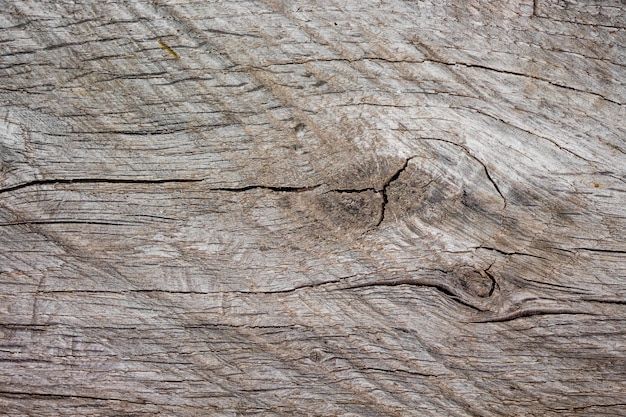 Texture of an old Tree board is gray with cracks and knots