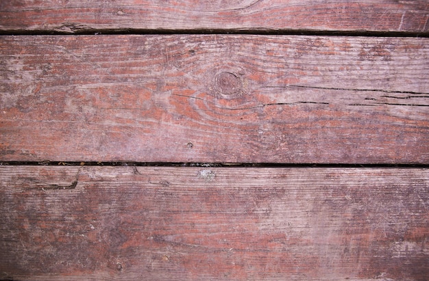 Texture of the old tree, place for the inscription.