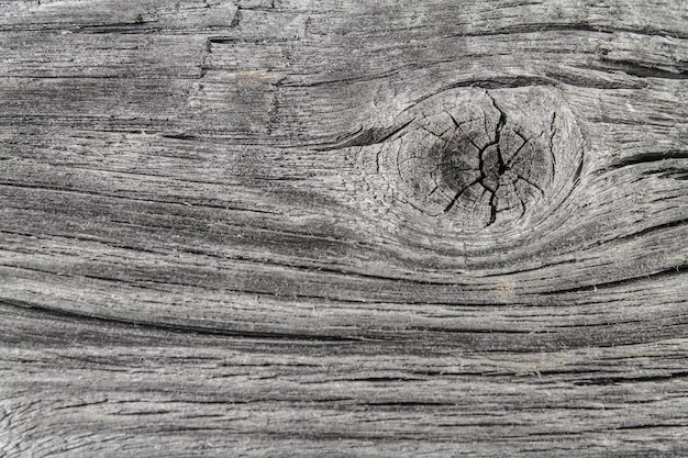 Texture of old wood close-up as background