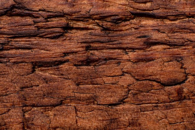 Texture of old wood close-up. Can be used as a background.